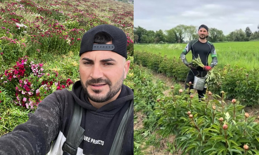 Suma fabuloasă pe care o câștigă un român, ca muncitor pe câmp în Anglia: „Nu mi-aș schimba jobul pentru nimic în lume”