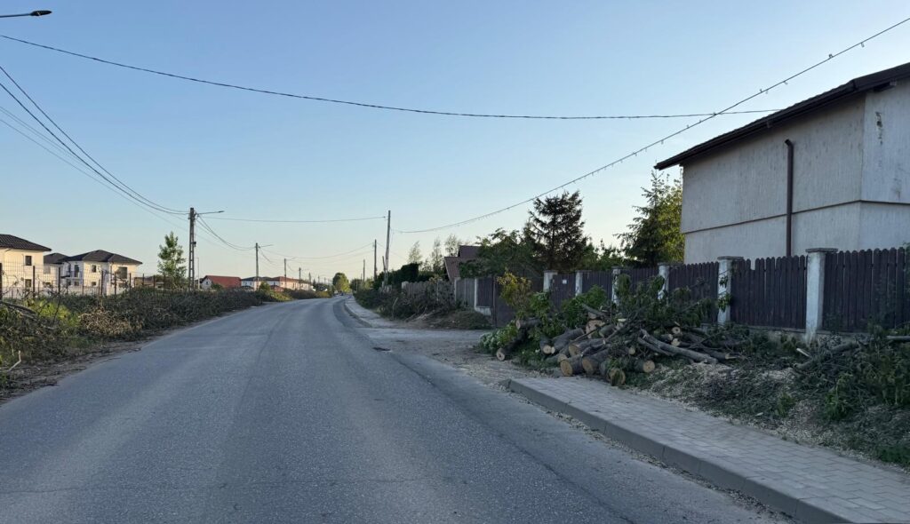 Modernizare cu DRUJBA la o primărie din țară. Au tăiat masiv copacii ca să facă loc pistelor de biciclete