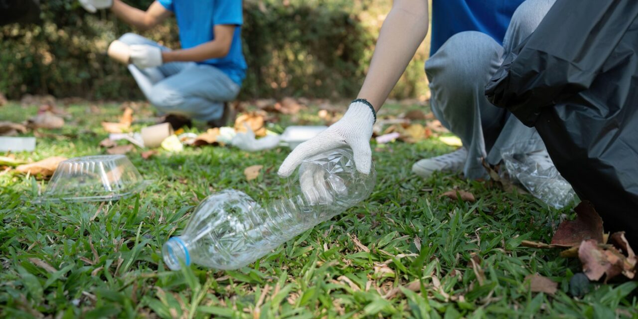 SALUBRIZARE Sector 5: Natura are nevoie de noi. Acum e momentul perfect să dăm o mână de ajutor comunității (P)
