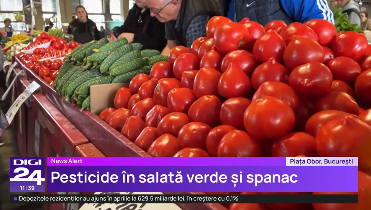 S-au găsit PESTICIDE în salată verde și spanac. Inspectorii fitosanitari verifică acum și roșiile românești