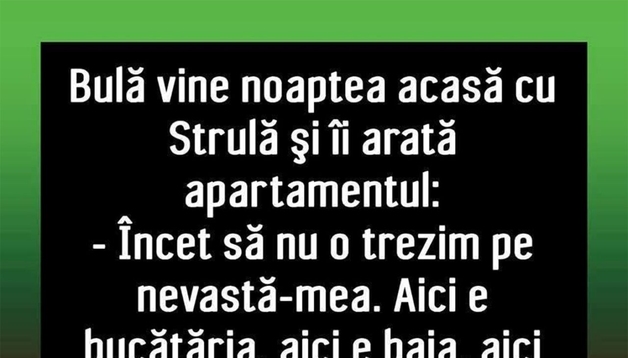 BANC | Bulă, Ștrulă și noul apartament