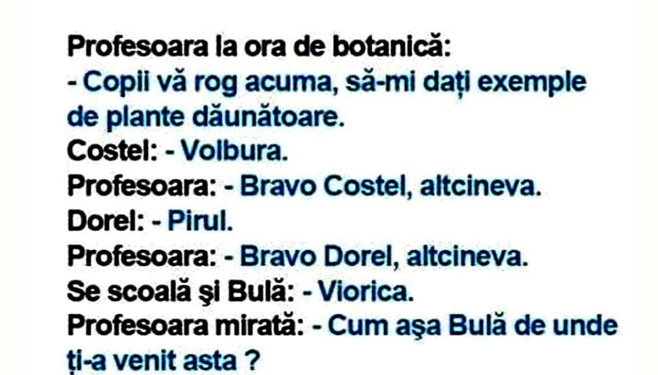 BANC | Bulă și ora de botanică