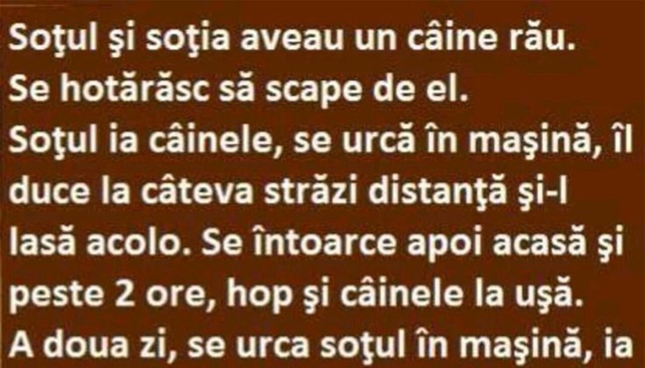 BANCUL ZILEI | Soțul, soția și câinele rău