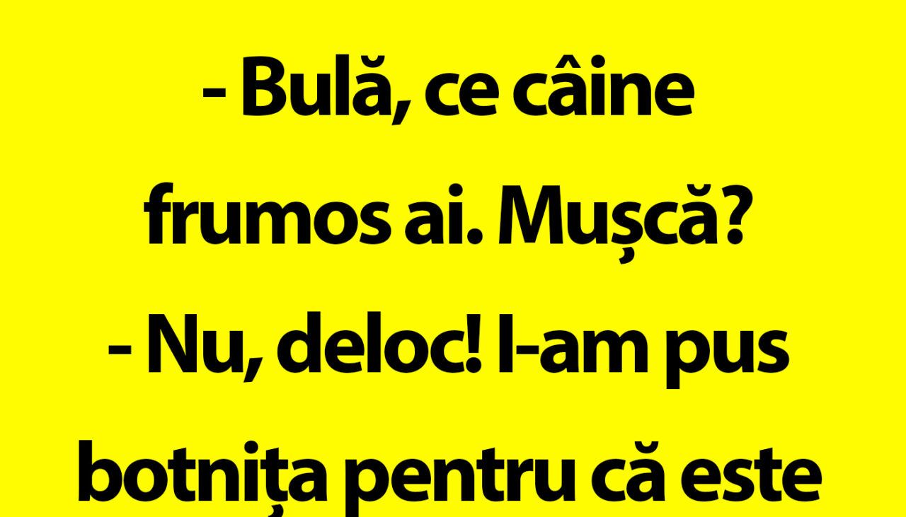 BANC | „Bulă, ce câine frumos ai. Mușcă?”