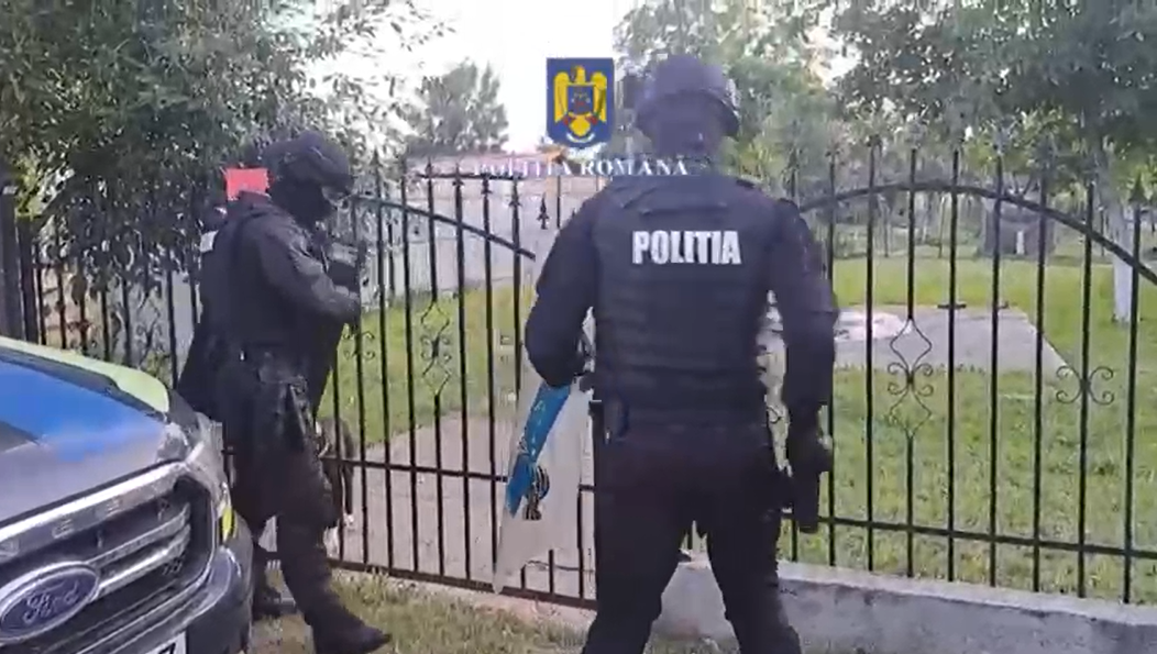 Percheziții în Prahova: Bărbat suspectat de lupte ilegale între câini