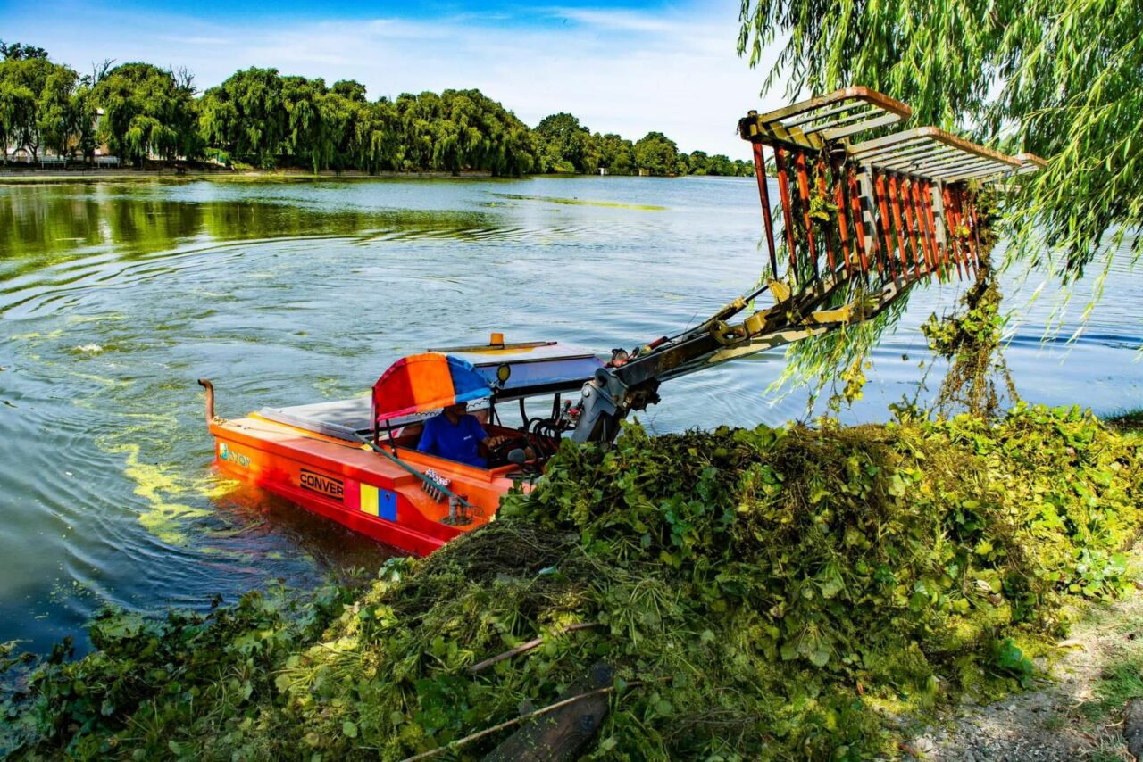 (P) Voluntarii s-au implicat în igienizarea simbolului județului Ilfov- Lacul Mogoșoaia
