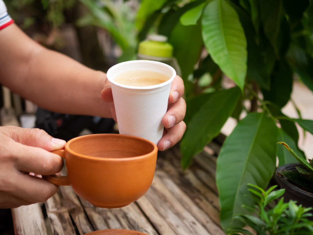 Cum te ajută zațul de cafea în grădină. Are multiple întrebuințări benefice
