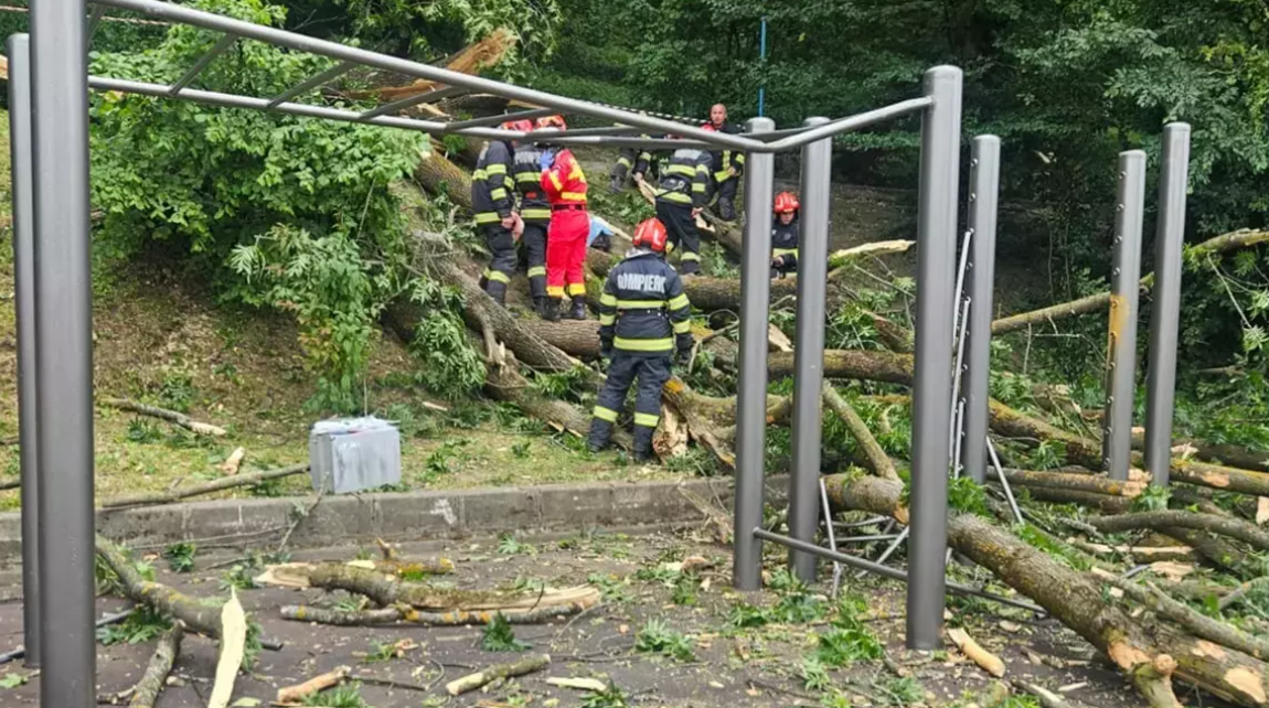 Un tânăr a murit zdrobit de un copac prăbușit în Brașov. O femeie a supraviețuit miraculos