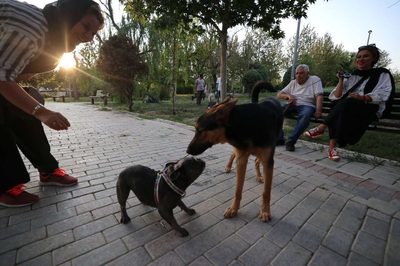 IRAN: Autoritățile anunță extinderea interdicției privind plimbarea câinilor. Care sunt motivele
