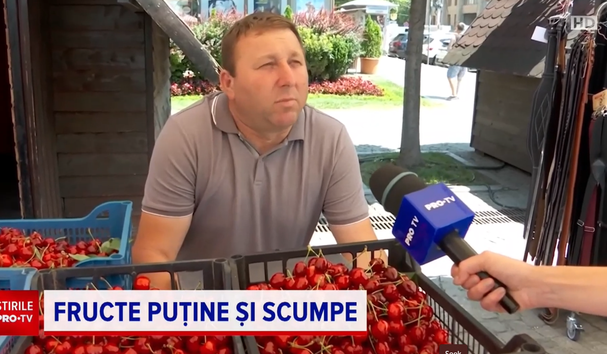 Fructe mai puține și mai scumpe. Cât au ajuns să coste cireșele, caisele și vișinele în piețe