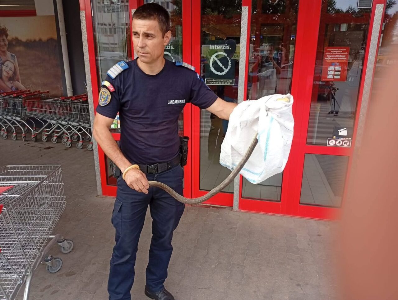 DESCOPERIRE șocantă într-un coș de cumpărături, din parcarea unui supermarket. Jandarmii au fost chemați de urgență de șefa magazinului