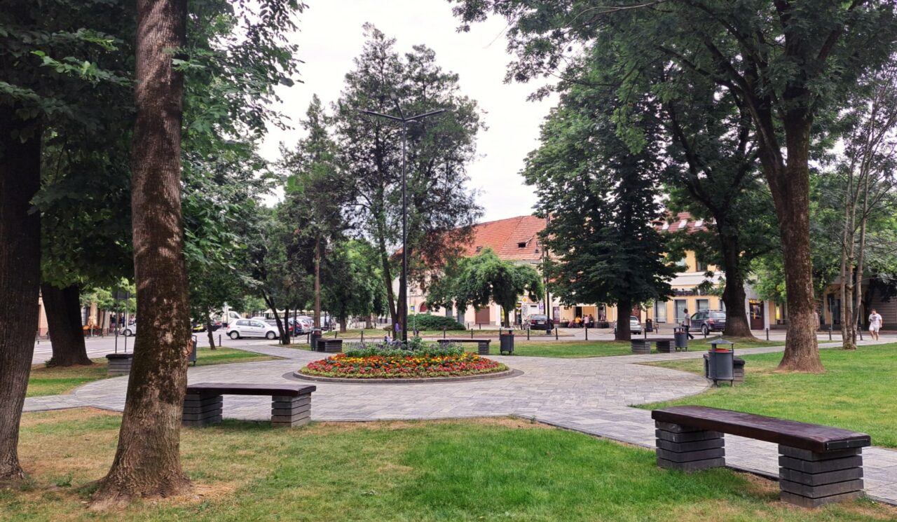 Primăria din Bistrița caută ZILIERI care să se ocupe de spațiile verzi. Cât este plătit un muncitor