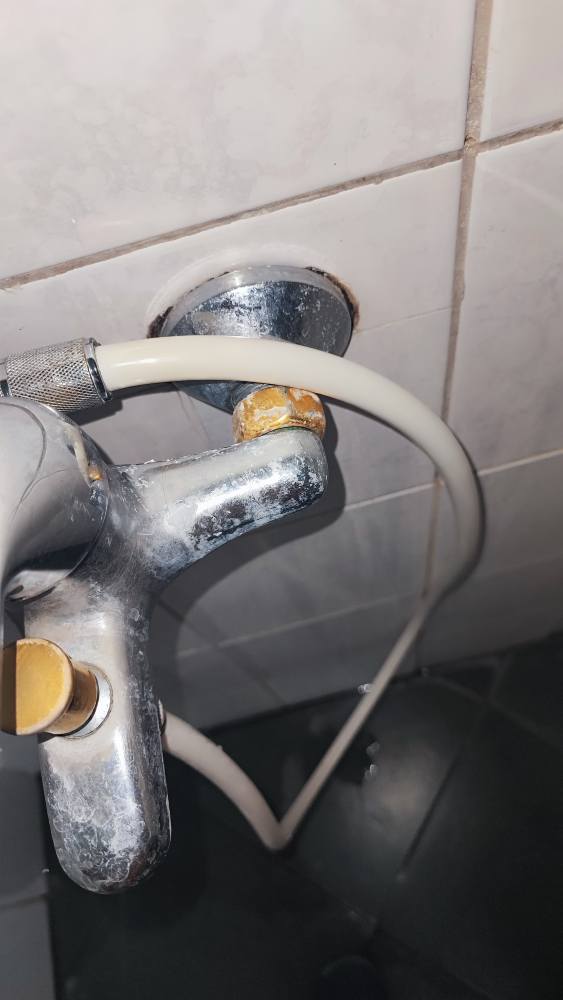 Sursa foto: Forum Bulgaria