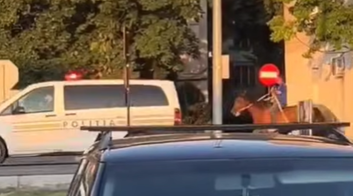 Bărbat CĂLARE pe un cal, urmărit de polițiști printre blocurile din Focșani. Imaginile au devenit rapid virale și subiect de glume