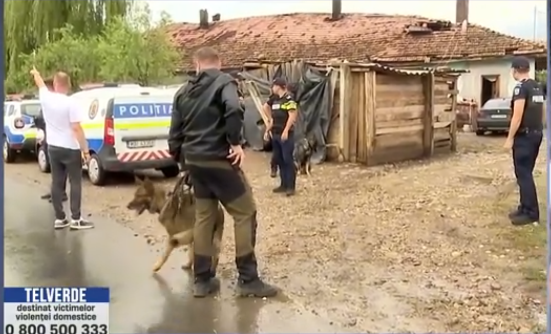 Criminalul din Mureș, văzut în județul Bihor de către doi CIOBANI. Polițiștii îl caută cu drone, camere de termoviziune și cu elicoptere