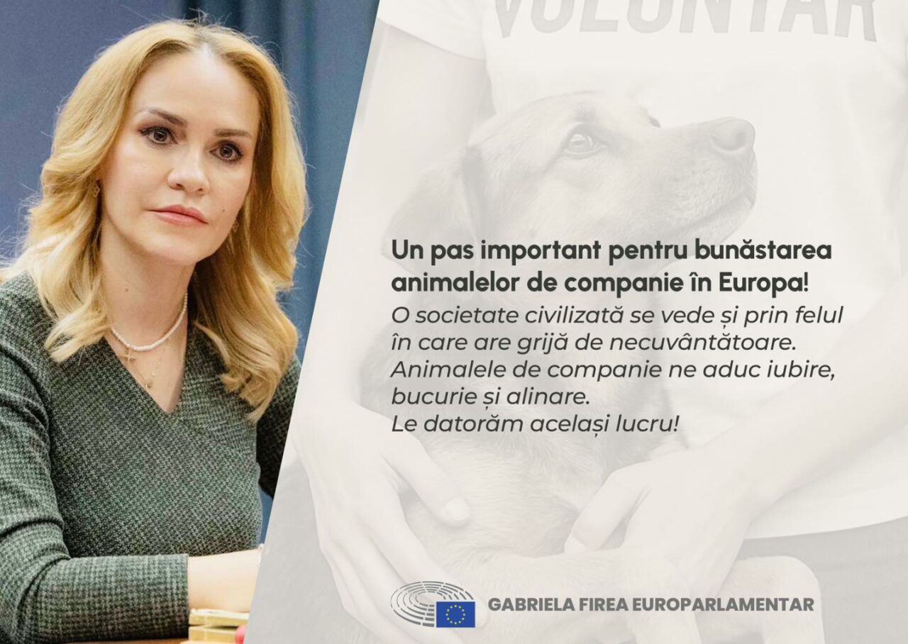 Gabriela Firea anunță reguli pentru animalele de companie la nivelul Uniunii Europene