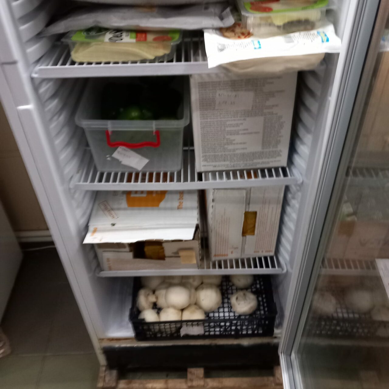 ANPC a găsit paste făinoase cu viermi, într-un KAUFLAND din Tulcea