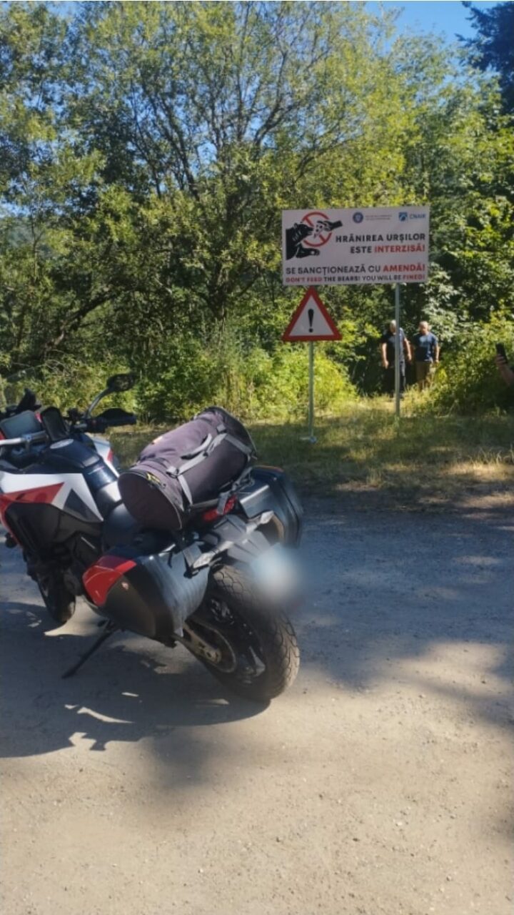 Evacuare cadavru motociclist, la Vidraru, cu ursoaica pe urme/ Ion Sănduloiu: „L-a tras în râpă, 60 m. Motocicleta se pare că este de Italia”
