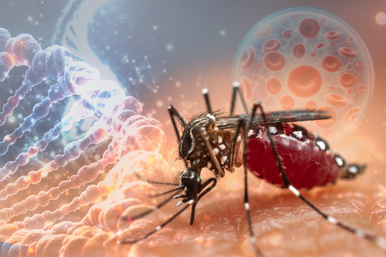 ALERTĂ în Italia din cauza virusului West Nile. O persoană a murit, iar 15 provincii au raportat cazuri