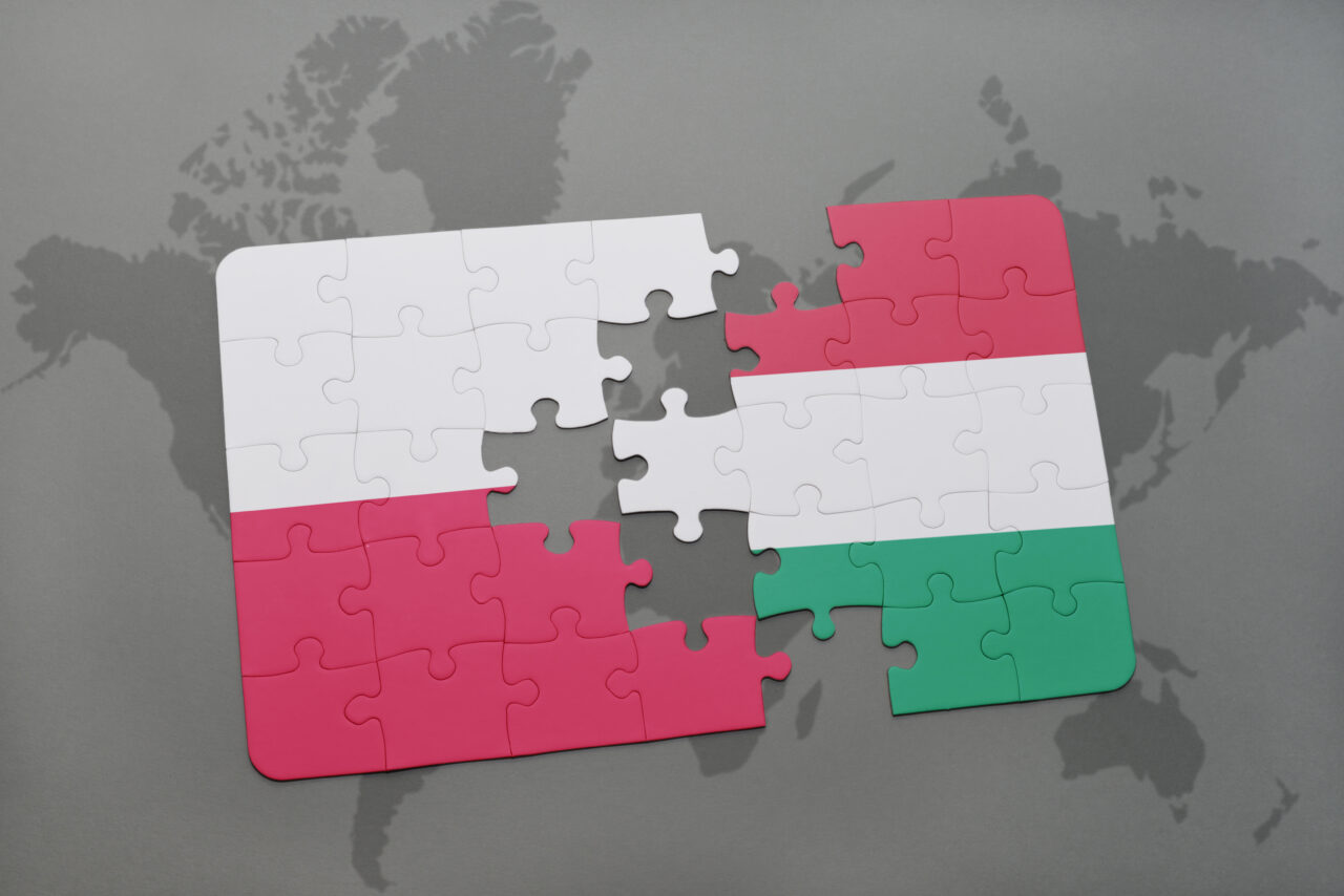 Polonia și-a RETRAS ambasadorul din Ungaria. Care este motivul neînțelegerilor dintre Varșovia și Budapesta