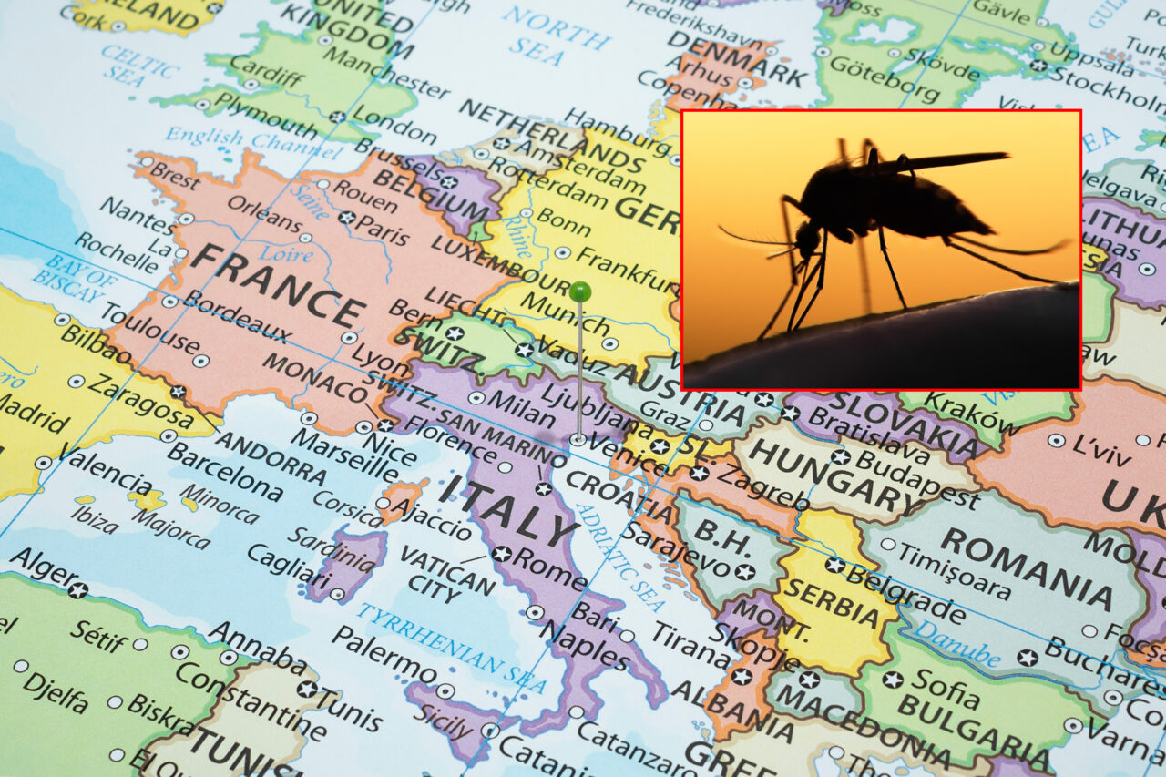 Statul european popular în rândul turiștilor în care s-a detectat un virus tropical. Un bărbat a fost infectat după o înțepătură de țânțar