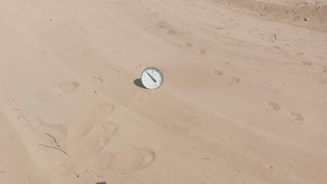 Muncă în câmp la 42 de grade în „SAHARA” Olteniei. Oamenii nu-și părăsesc bostanele nici în zilele toride: „Pepenii se strică în nisip!”