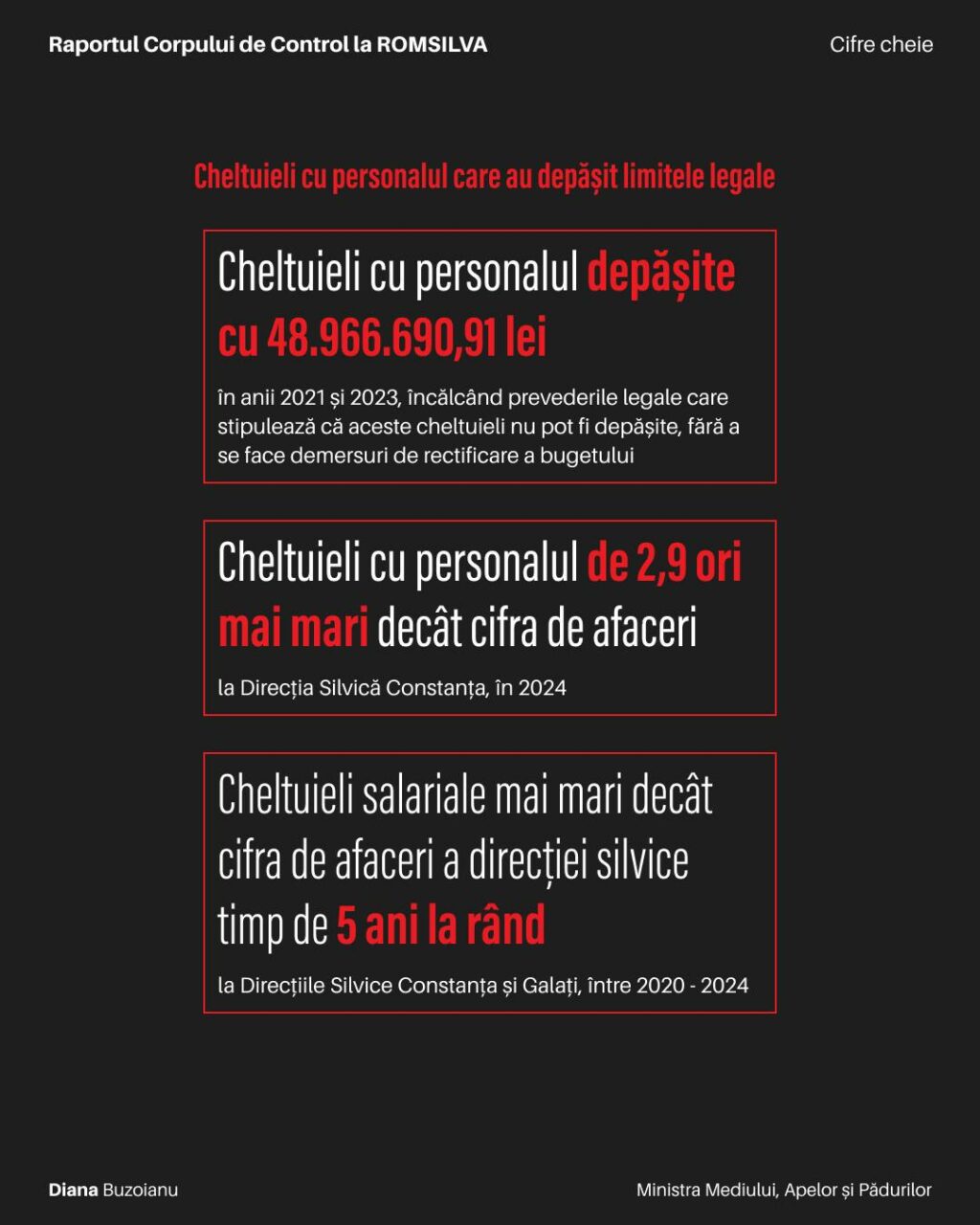 Raportul Corpului de Control în cazul Romsilva, trimis la Parchetul General