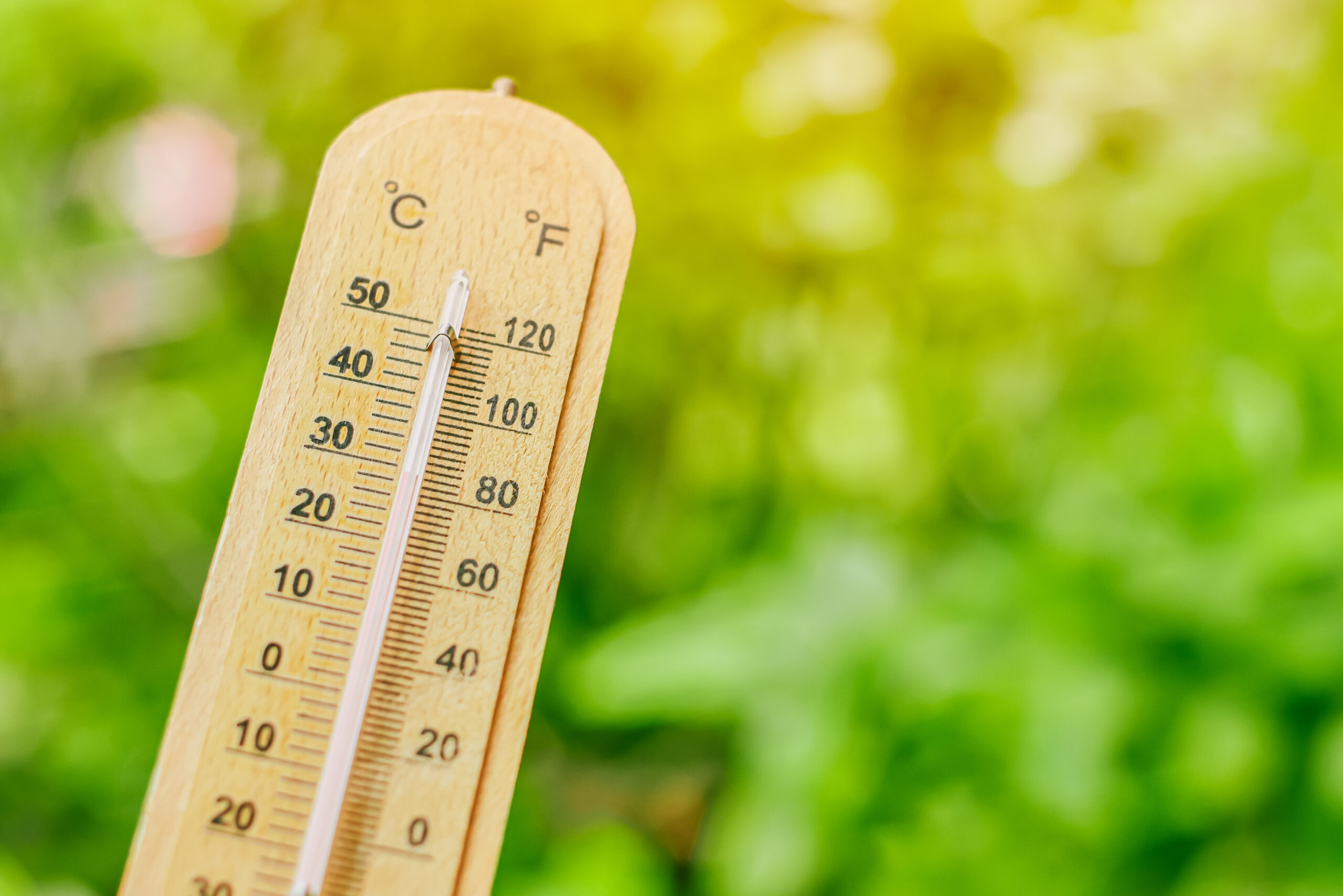 Meteorologul ANM anunță temperaturi de vară săptămâna aceasta. Ce se ...