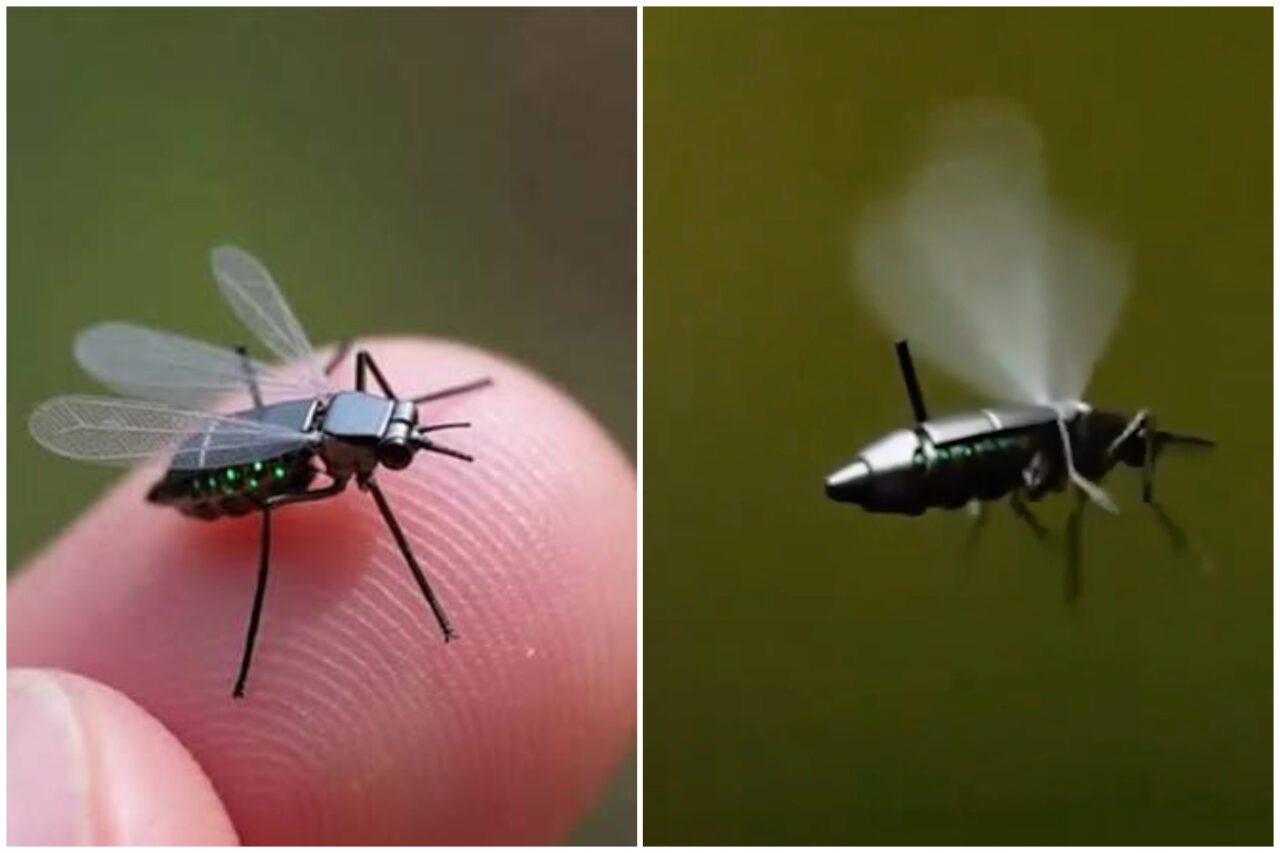 China a dezvoltat o micro-dronă de mărimea unui țânțar pentru misiuni de recunoaștere militară