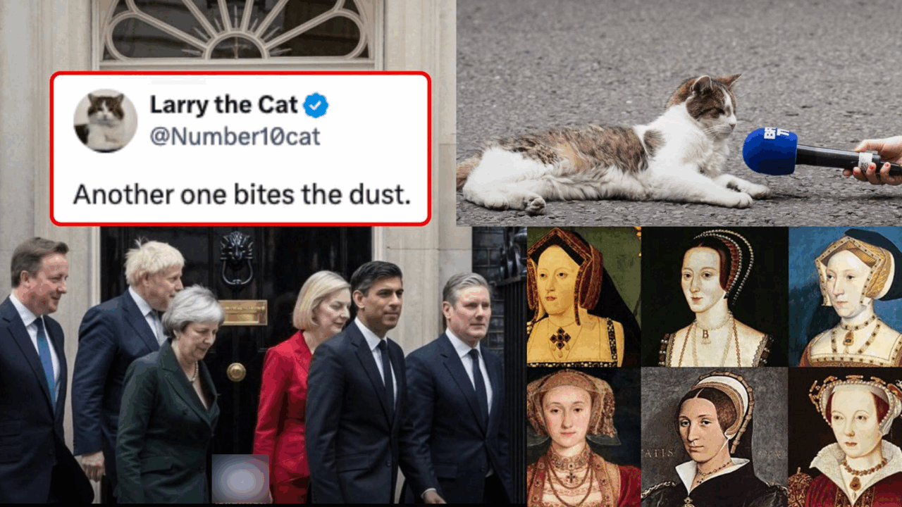 Henry al VIII-lea a avut 6 neveste, iar Larry Motanul a avut 6 premieri. 10 Downing Street, reședința permanentă a celei mai faimoase pisici din lume