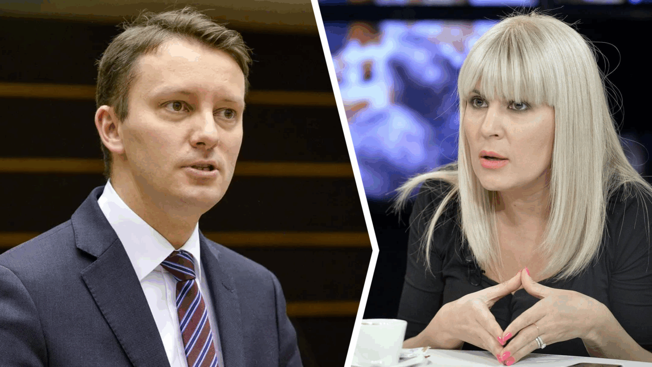 Elena Udrea susține ca banii de la Pinalty pentru Siegfried Mureșan au venit din Microsoft, celebrul dosar DNA