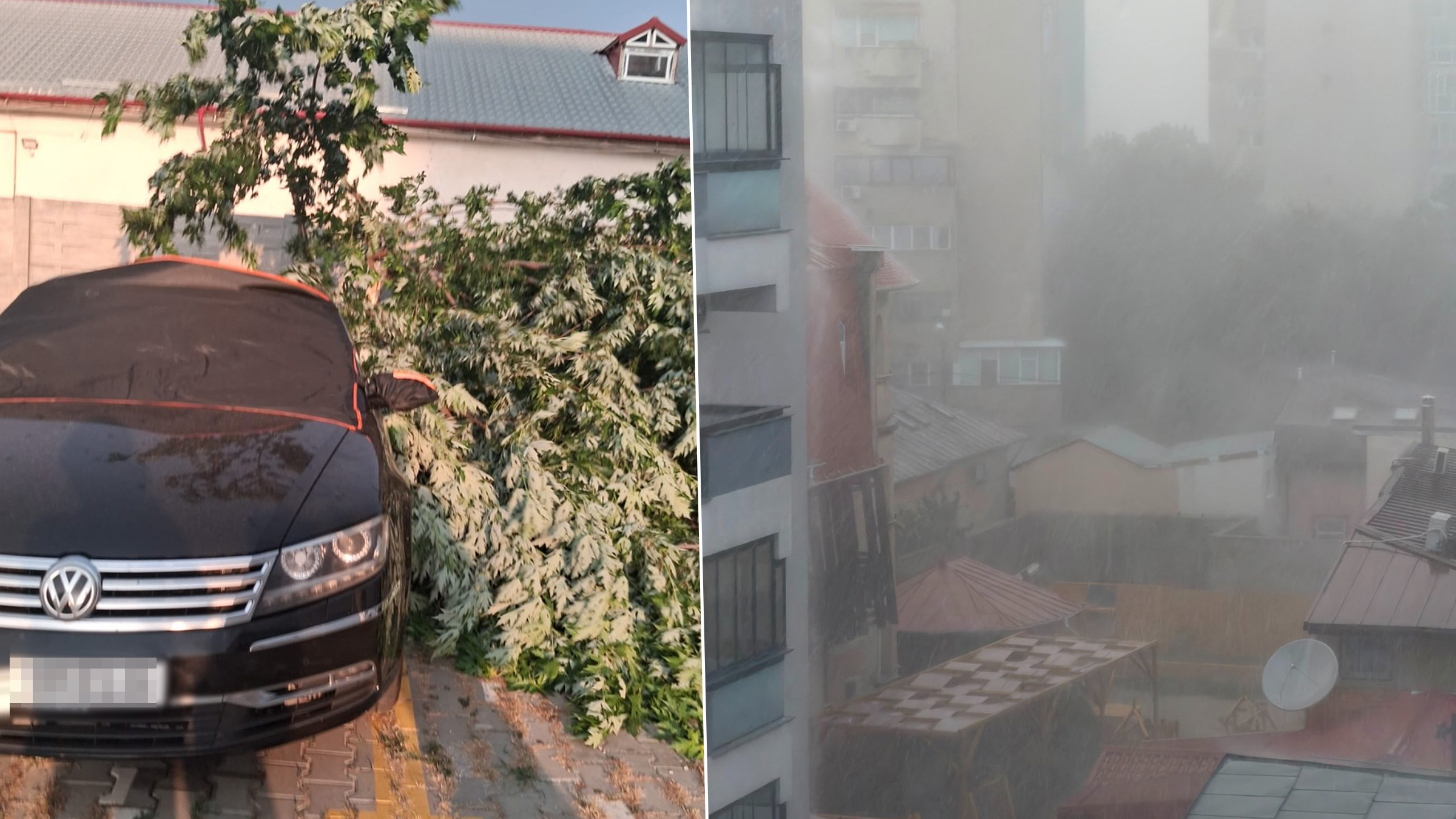 Furtună violentă în București: un mort, zeci de copaci căzuți