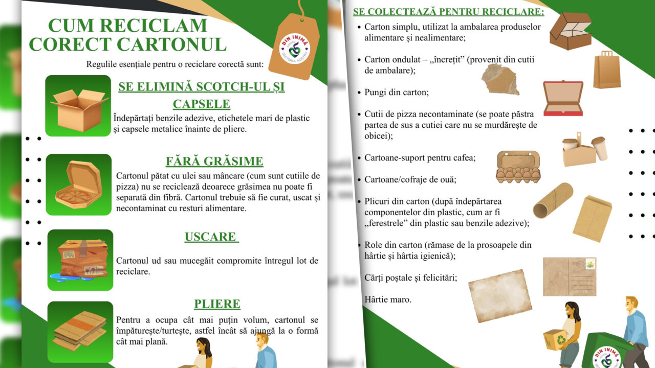(P) Cum reciclăm corect cartonul. Reguli esențiale pentru o reciclare corectă