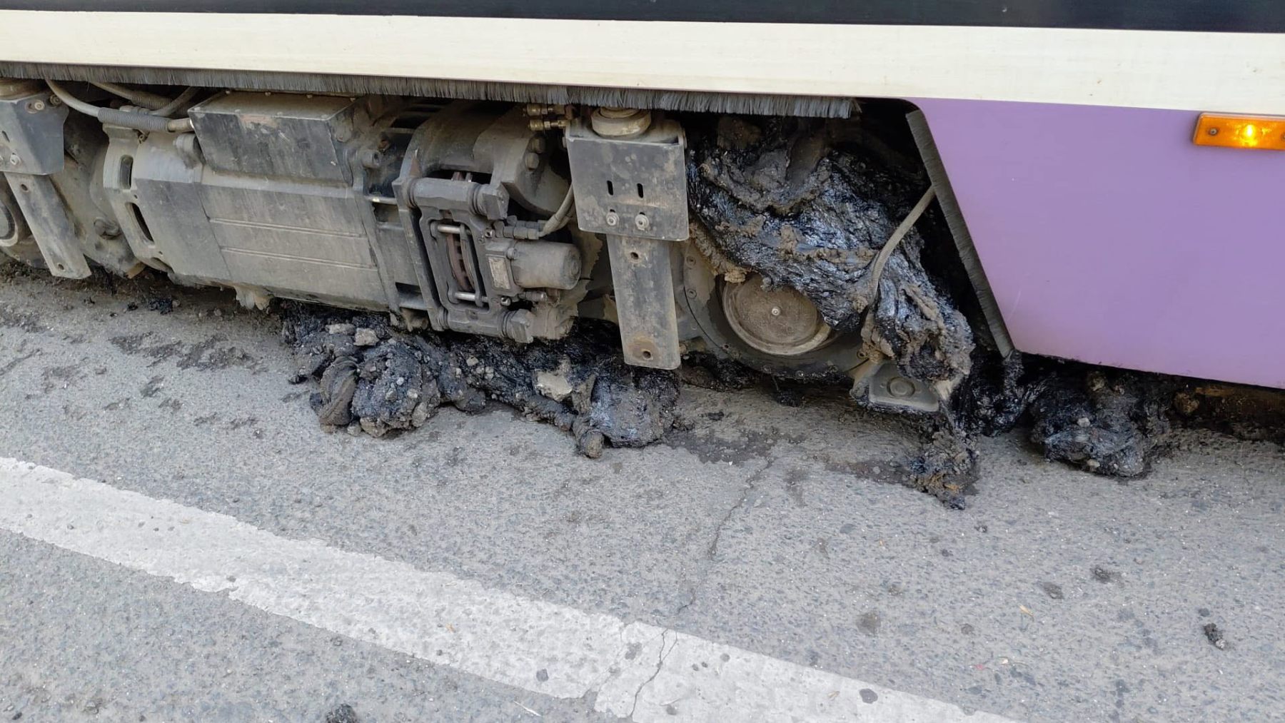 Canicula blochează tramvaiele în Timișoara: Mastic topit la peste 60°C