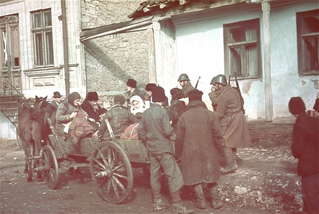 România, criticată într-un raport internațional pentru discriminarea romilor și educația despre Holocaust