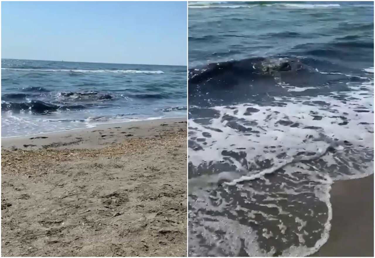 Alertă la Marea Neagră. Mai mulți turiști au reclamat un miros greu și apă de culoare suspectă pe o plajă din Mamaia Nord