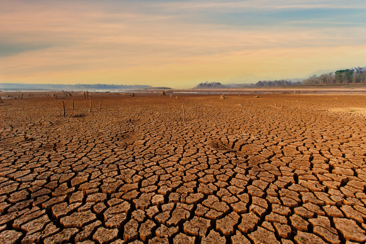 Fenomenul „Super El Niño” intră într-o fază critică și amenință cu temperaturi record și secetă. Ce urmează în următoarele luni