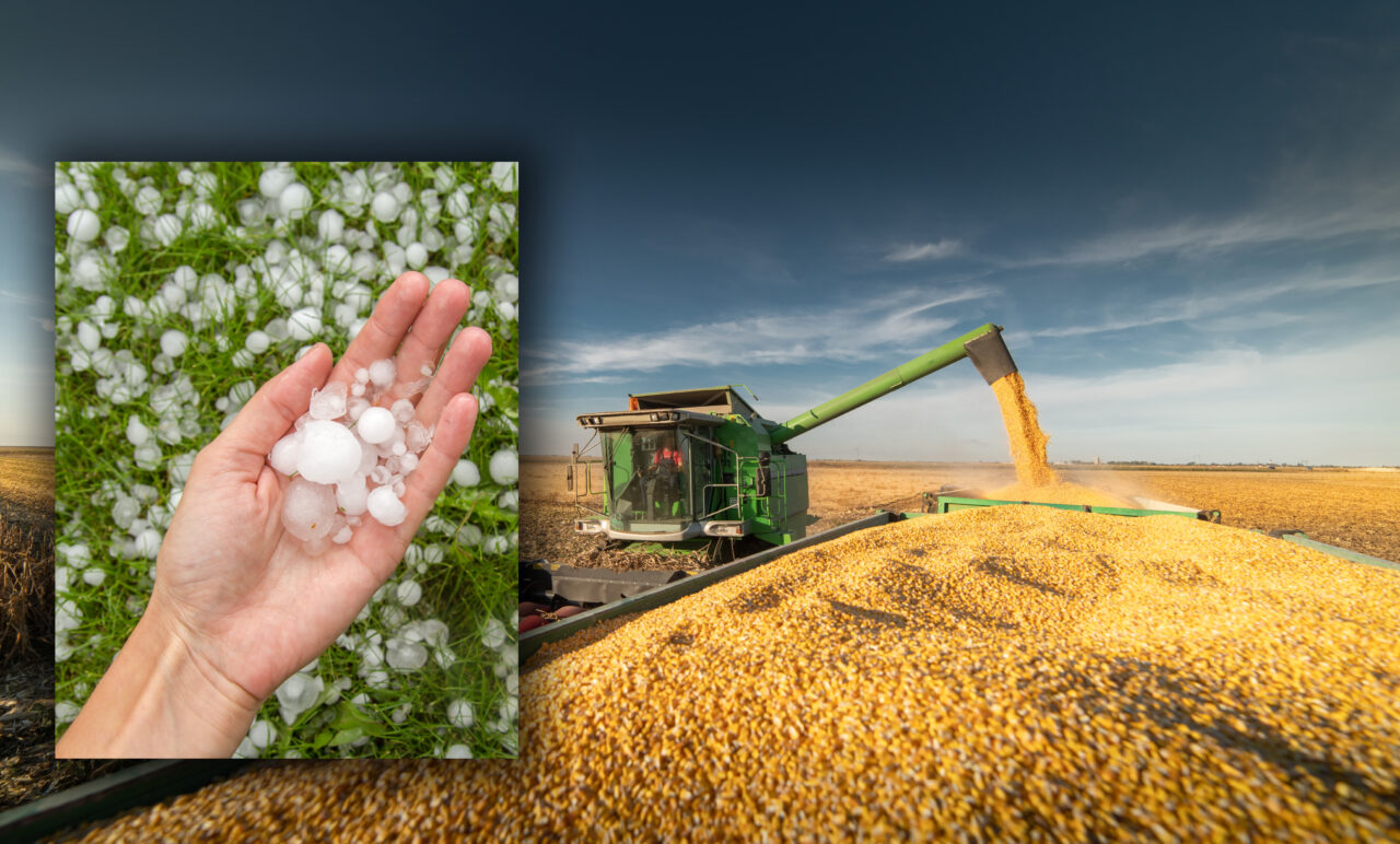 Criza politică blochează agricultura. În timp ce România este traversată de un episod de furtuni, sistemul antigrindină rămâne nefuncțional