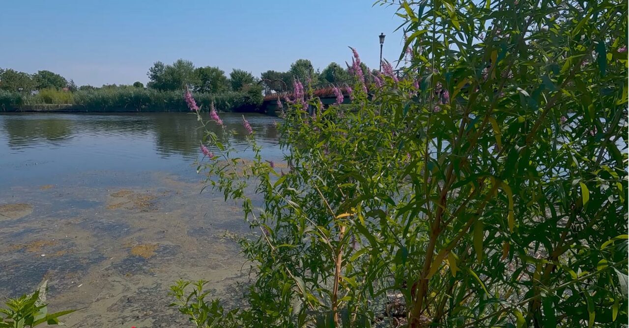 Riscăm să rămânem fără „a doua Deltă” a României. „Luciul de apă s-a înjumătățit, are nevoie de reconstrucție”