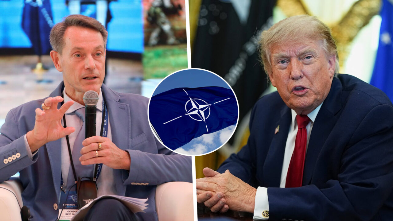 Summitul NATO de la Ankara. Se decuplează SUA de apărarea europeană? Generalul Gordon „Skip” Davis: „Americanii se așteaptă ca Europa să facă mai mult”