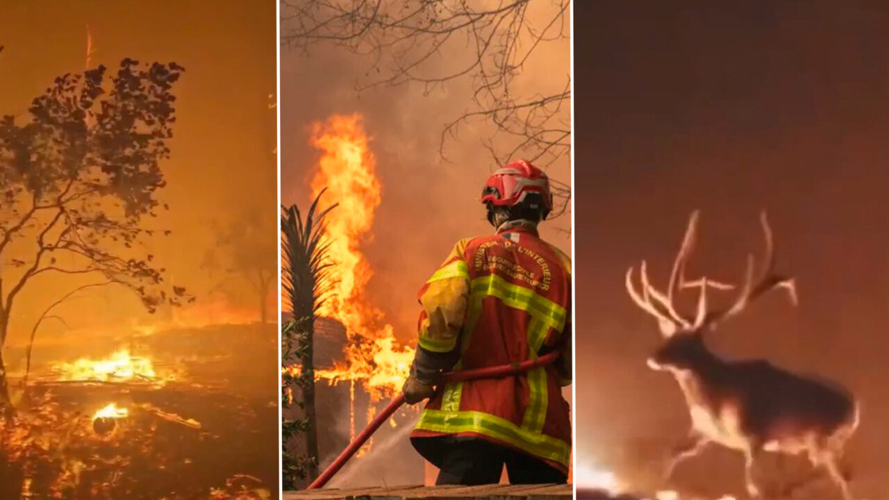 Incendiile devastatoare din Franța și Spania forțează evacuarea a peste 300.000 de oameni. Mii de hectare sunt mistuite de flăcări