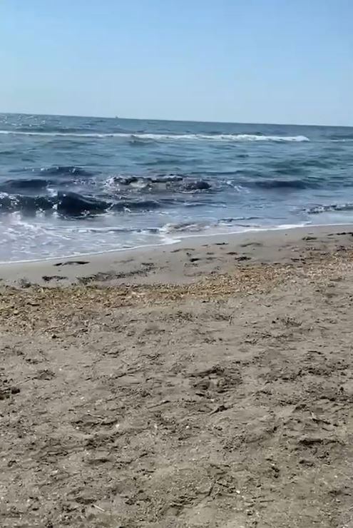 Alertă la Marea Neagră. Mai mulți turiști au reclamat un miros greu și apă de culoare suspectă pe o plajă din Mamaia Nord