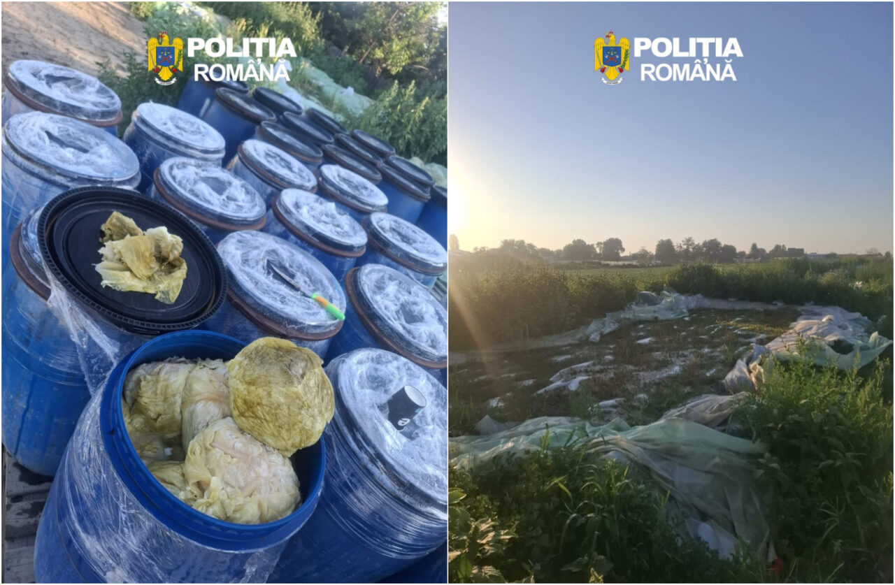 Opt tone de varză murată, descoperite în gropi săpate în pământ într-o localitate din Dâmbovița. Marfa va fi distrusă