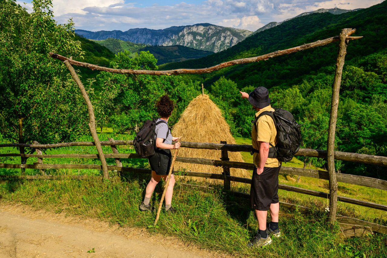 Studiu MedLife: Românii nu știu că mersul pe jos poate face bine și minții. Doar 12% merg frecvent în drumeții și declară mai multă energie