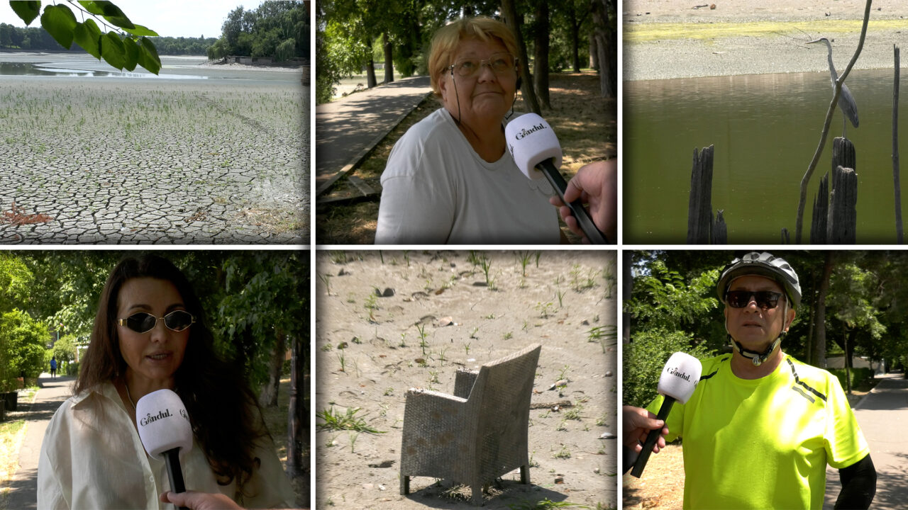 Lacul Herăstrău, secat și plin de gunoaie și de mlaștină. În zona centrală nu e picior de muncitor. Trecătorii sunt furioși: „L-au lăsat așa în plină vară” / Cum se apără constructorul”