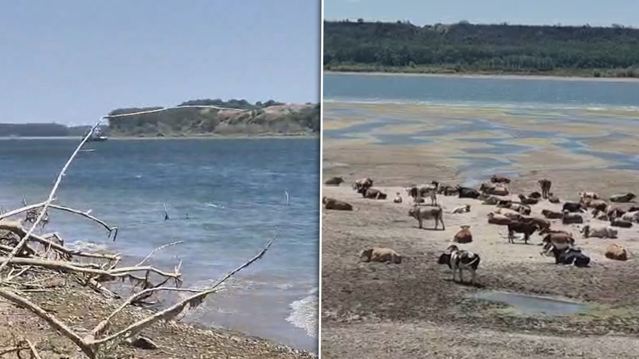Imagini exclusive cu vasul de croazieră care a eșuat pe Dunăre, la Mehedinți. Dunărea, la cote periculos de joase