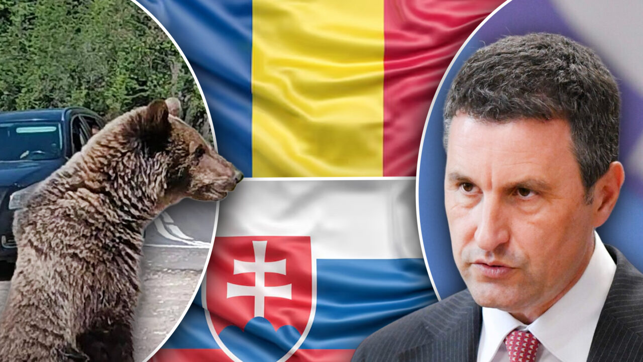 Tanczos Barna anunță că 12 state UE sprijină inițiativa României și a Slovaciei de reglementare a statutului ursului brun