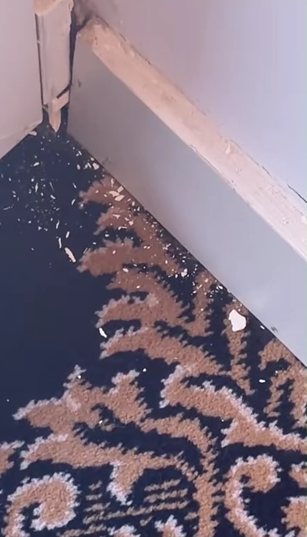 Ce a găsit un cuplu într-un hotel de 3 stele din Eforie Nord, la 350 de lei pe noapte: mucegai, instalații sanitare stricate, pereți murdari și praf. Revoltați, oamenii au filmat totul. Ce s-a întâmplat după ce au primit altă cameră