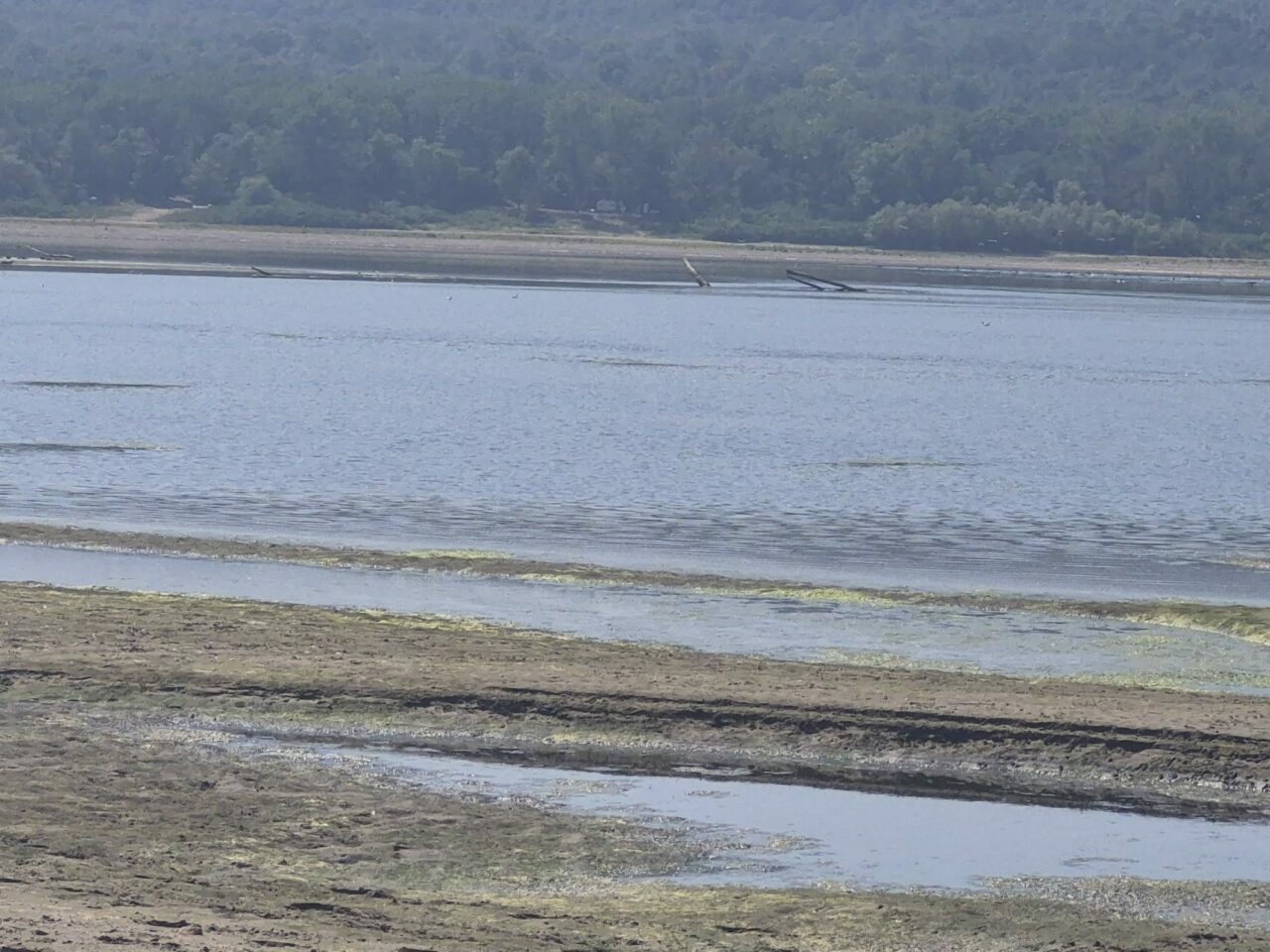 Barjele încărcate cu cereale, blocate în mijlocul Dunării din cauza nivelului scăzut