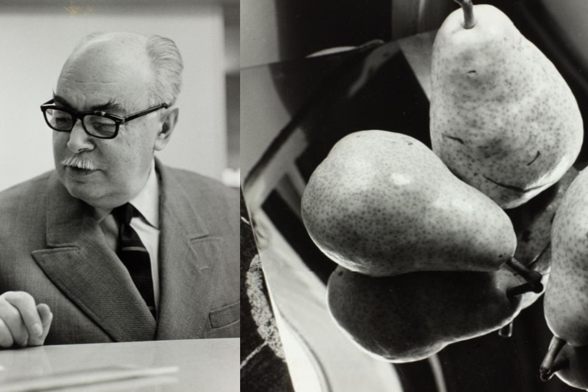 Aurel Bauh – povestea fotografului român uitat de istoria artei. Unde se găsesc azi lucrările sale